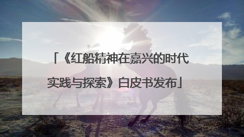 《红船精神在嘉兴的时代实践与探索》白皮书发布