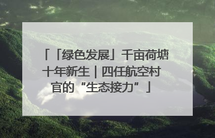「绿色发展」千亩荷塘 十年新生｜四任航空村官的“生态接力”