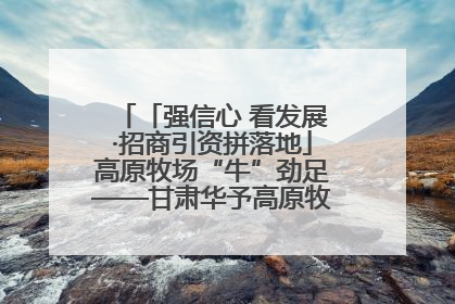 「强信心 看发展·招商引资拼落地」高原牧场“牛”劲足——甘肃华予高原牧场高标准奶牛肉牛养殖项目一线见闻