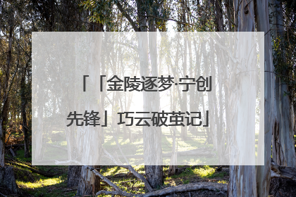 「金陵逐梦·宁创先锋」巧云破茧记