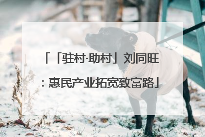 「驻村·助村」刘同旺：惠民产业拓宽致富路
