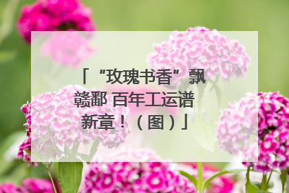 “玫瑰书香”飘赣鄱 百年工运谱新章！（图）