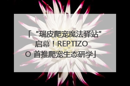 “瑞皮爬宠魔法驿站” 启幕！REPTIZOO 首推爬宠生态研学