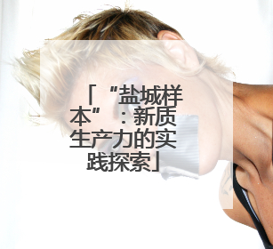 “盐城样本”：新质生产力的实践探索