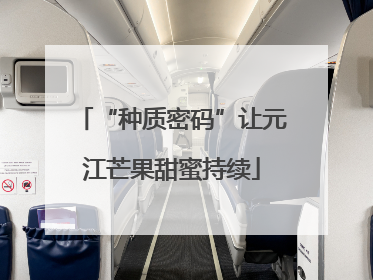 “种质密码”让元江芒果甜蜜持续