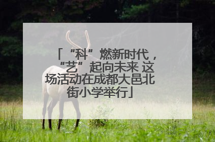 “科”燃新时代，“艺”起向未来 这场活动在成都大邑北街小学举行