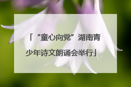 “童心向党”湖南青少年诗文朗诵会举行