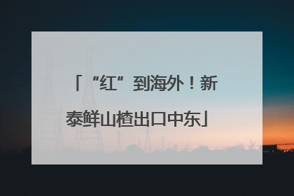 “红”到海外！新泰鲜山楂出口中东