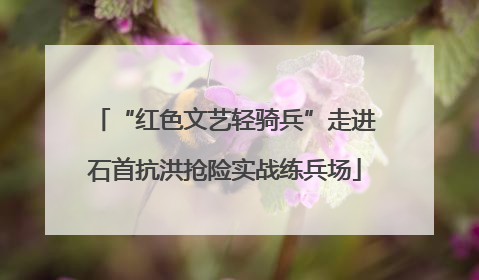 “红色文艺轻骑兵”走进石首抗洪抢险实战练兵场