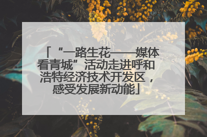 “一路生花——媒体看青城”活动走进呼和浩特经济技术开发区，感受发展新动能