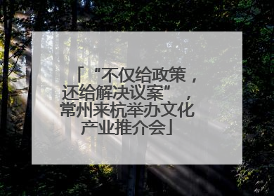 “不仅给政策，还给解决议案”，常州来杭举办文化产业推介会