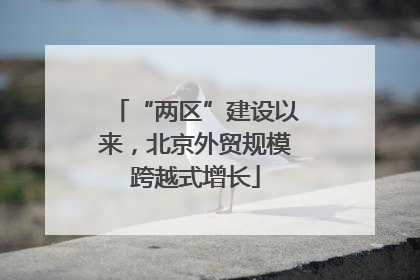 “两区”建设以来，北京外贸规模跨越式增长