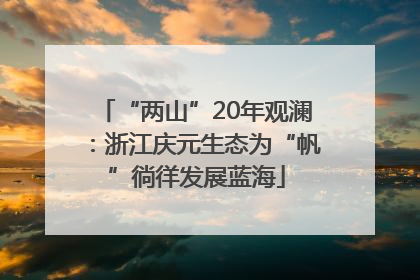 “两山”20年观澜：浙江庆元生态为“帆”徜徉发展蓝海