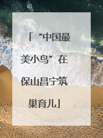 “中国最美小鸟”在保山昌宁筑巢育儿