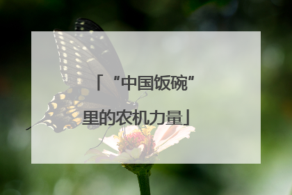 “中国饭碗”里的农机力量