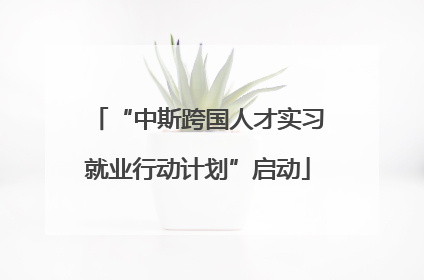 “中斯跨国人才实习就业行动计划”启动