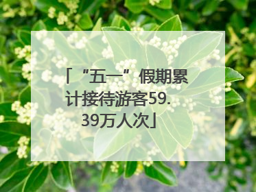 “五一”假期累计接待游客59.39万人次