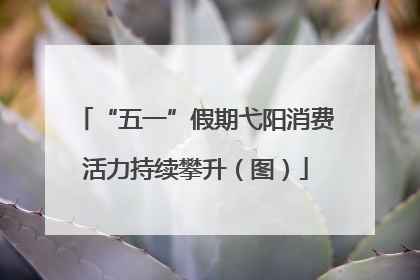 “五一”假期弋阳消费活力持续攀升（图）