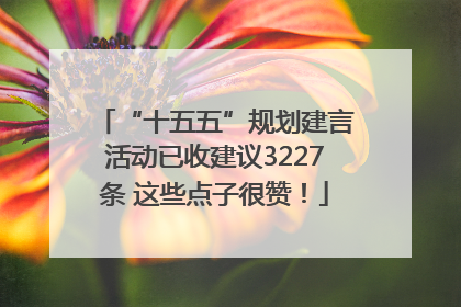“十五五”规划建言活动已收建议3227条 这些点子很赞！