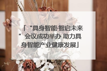 “具身智能·智启未来”会议成功举办 助力具身智能产业健康发展