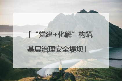 “党建+化解”构筑基层治理安全堤坝