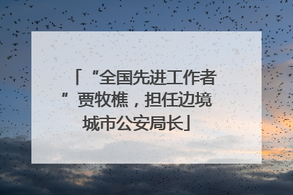 “全国先进工作者”贾牧樵，担任边境城市公安局长