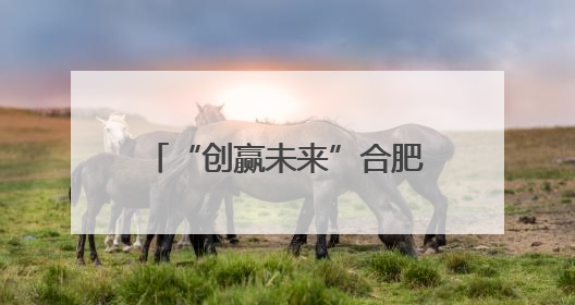“创赢未来”合肥赛区火热开赛，聚焦新能源汽车赛道助力长三角一体化发展