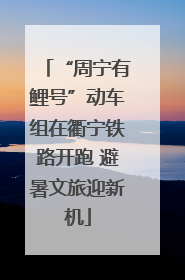“周宁有鲤号”动车组在衢宁铁路开跑 避暑文旅迎新机