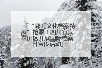 “哪吒文化档案特展”抢眼！四川宜宾翠屏区开展国际档案日宣传活动
