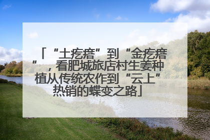 “土疙瘩”到“金疙瘩”，看肥城旅店村生姜种植从传统农作到“云上”热销的蝶变之路