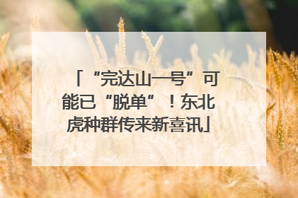 “完达山一号”可能已“脱单”！东北虎种群传来新喜讯