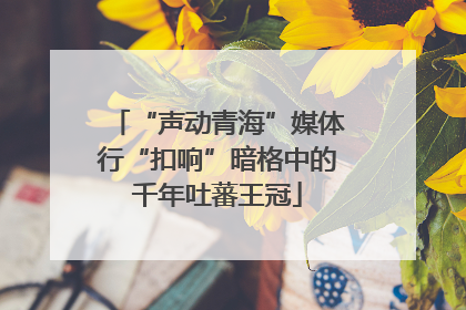 “声动青海”媒体行“扣响”暗格中的千年吐蕃王冠