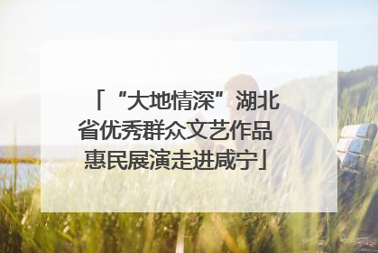 “大地情深”湖北省优秀群众文艺作品惠民展演走进咸宁
