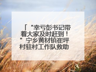 “幸亏彭书记带着大家及时赶到！”宁乡黄材镇崔坪村驻村工作队救助中暑村民