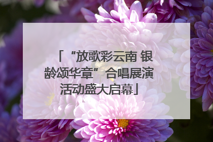 “放歌彩云南 银龄颂华章”合唱展演活动盛大启幕