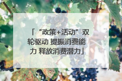 “政策+活动”双轮驱动 提振消费能力 释放消费潜力