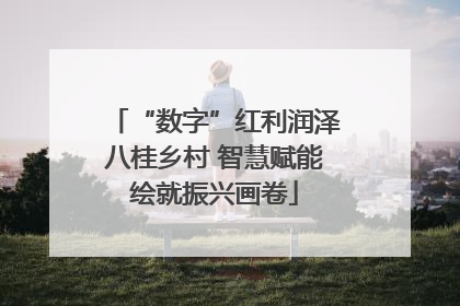 “数字”红利润泽八桂乡村 智慧赋能绘就振兴画卷