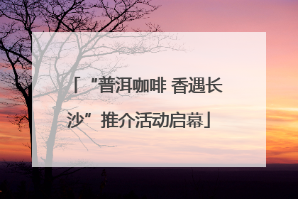 “普洱咖啡 香遇长沙”推介活动启幕