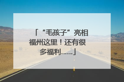 “毛孩子”亮相福州这里！还有很多福利……