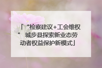 “检察建议+工会维权” 城步县探索新业态劳动者权益保护新模式