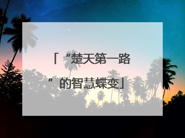 “楚天第一路”的智慧蝶变