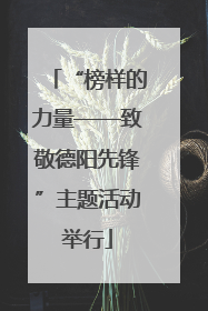 “榜样的力量——致敬德阳先锋”主题活动举行