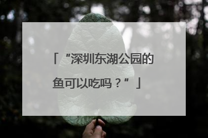 “深圳东湖公园的鱼可以吃吗？”