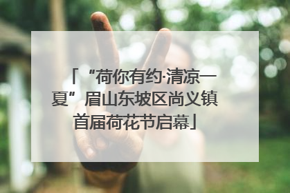 “荷你有约·清凉一夏”眉山东坡区尚义镇首届荷花节启幕