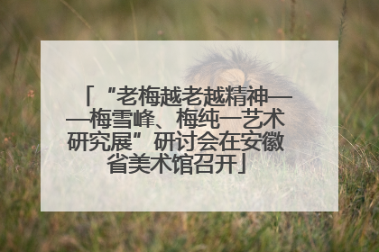“老梅越老越精神——梅雪峰、梅纯一艺术研究展”研讨会在安徽省美术馆召开