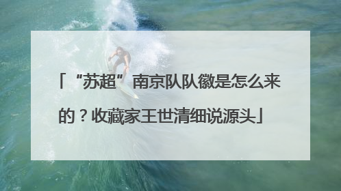 “苏超”南京队队徽是怎么来的？收藏家王世清细说源头