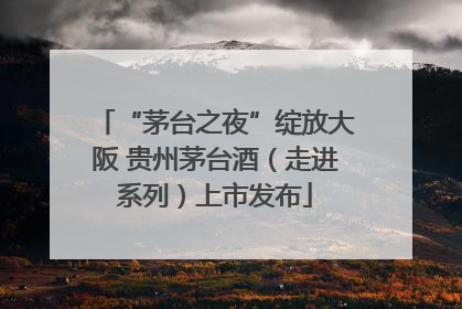“茅台之夜”绽放大阪 贵州茅台酒（走进系列）上市发布