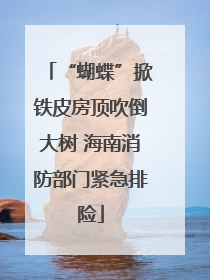 “蝴蝶”掀铁皮房顶吹倒大树 海南消防部门紧急排险
