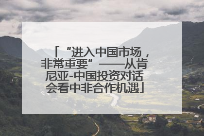 “进入中国市场，非常重要”——从肯尼亚-中国投资对话会看中非合作机遇