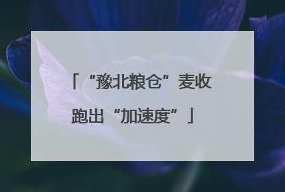 “豫北粮仓”麦收跑出“加速度”